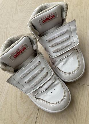 Кросівки, кросівки , кроси, кросы adidas, хайтопы, хайтопи