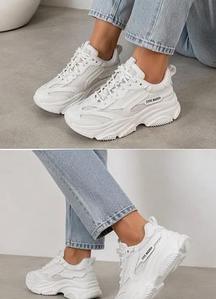 Жіночі снікерси steve madden білого кольору
