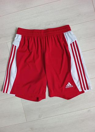 Шорты adidas tiro