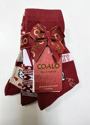 Шкарпетки жіночі новорічні coala в наборі з 3 шт. розмір 36-41