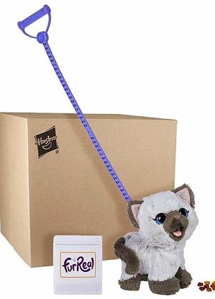 Furreal friends kami my poopin kitty plush інтерактивний вихованець на повідці кошеняток ками котик hasbro