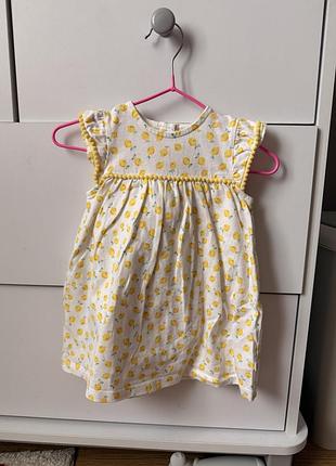 Сукня бодік з лимонами 68 зріст baby club