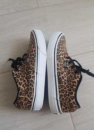 Кеди кеди vans 5