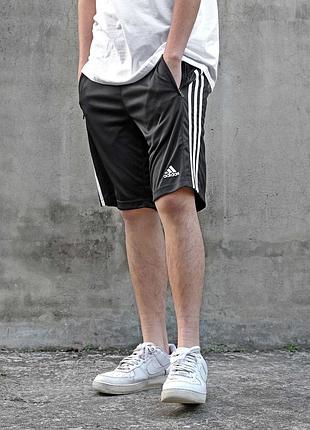 Мужские шорты adidas