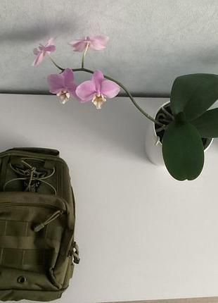 Сумка m-tac м-так оригінальна олива ykk стильна слінг assistant bag