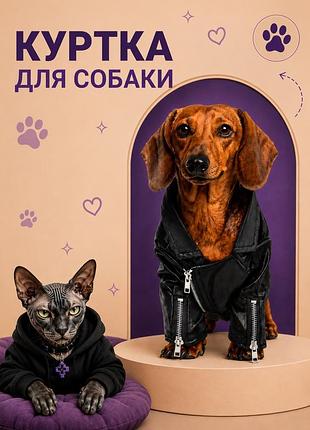 Куртка для собак
