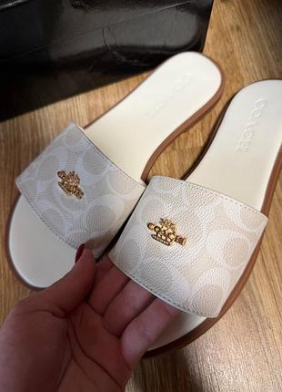 Шльопанці coach
