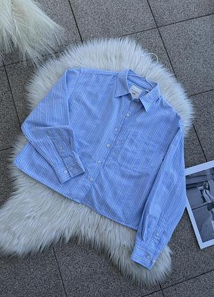 Сорочка uni💙qlo колаборація jw anderson в полоску блакитна