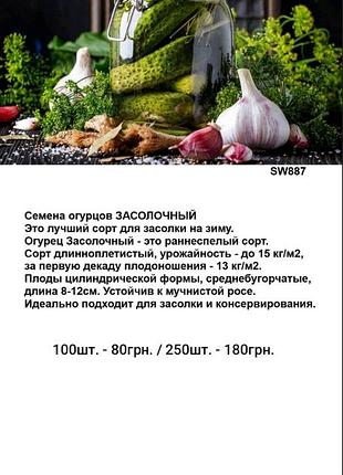 Семена огурца засолочный