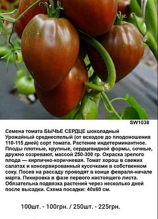 Семена томата бычье сердце шоколадный
