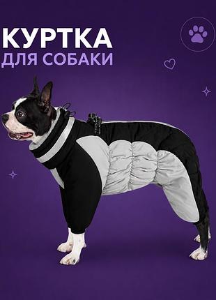 Куртка для собак