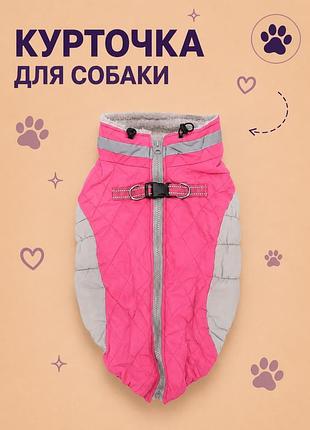 Курточка для собак