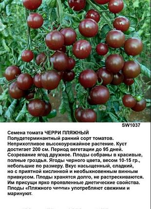 Семена томата черри пляжный