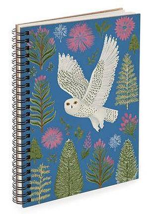Блокнот sketchbook (прямокут.) політ сови