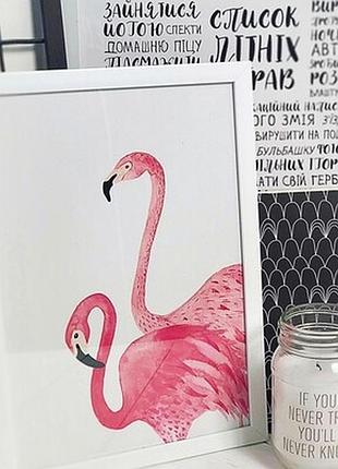 Постер у рамці a4 flamingo