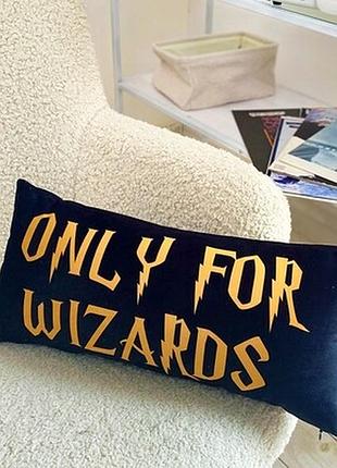 Подушка для дивану (оксамит) 50х24 см only for wizards