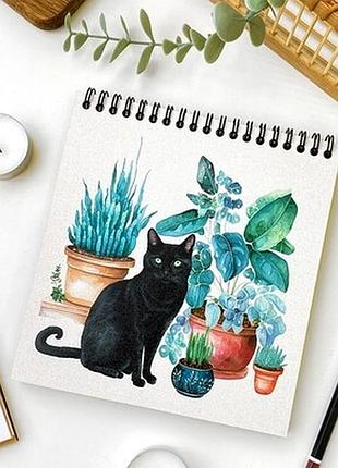 Блокнот sketchbook (квадрат) кіт і вазони