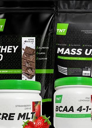 Whey протеин 80% белка (2 кг альпийский шоколад) + гейнер mass up углеводно-белковый (2,5 кг клубника) + креатин и аминокислоты