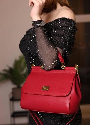 Dolce&gabbana sicily burgundy