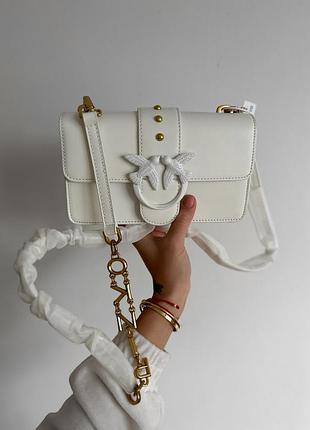 Pinko premium 20х12х7