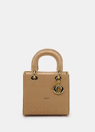C. dior lady premium 23х20х9