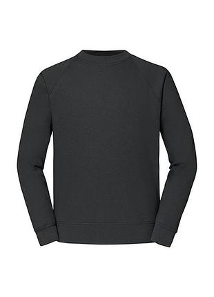 Реглан чоловічий classic raglan s gl світлий графіт