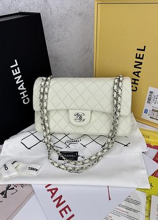 Chanel milk silver 25x16x7
