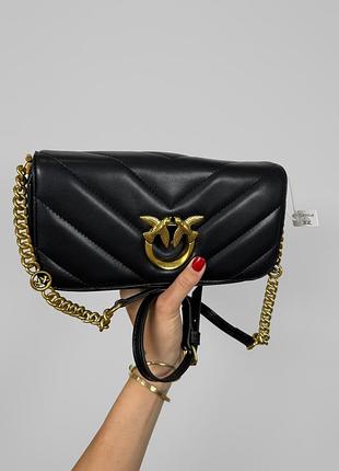Pinko premium 25х17х5