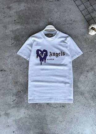 Мужская футболка palm angels