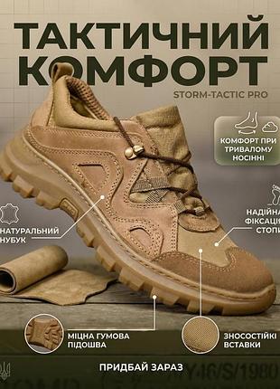 Тактичні кросівки hardy мн3794