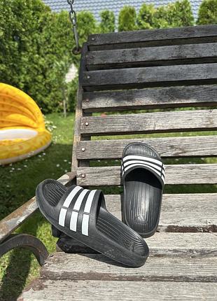 Шльопанці adidas