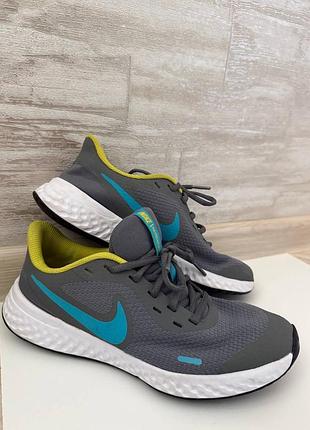 Кросівки nike revolution 5 сірі