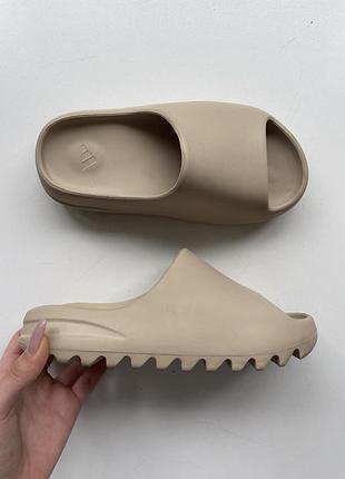 Тапочки adidas easy