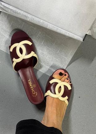 Шльопанці туфлі на каблучку бордо шанель chanel