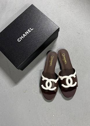 Коричневі шльопнаці chanel