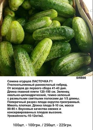 Семена огурца ласточка f1