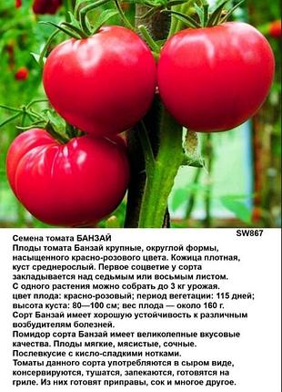 Сесена томата банзай