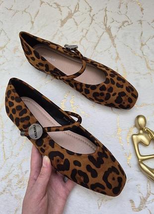 Стильні замшеві леопардові балетки туфлі на низькому ходу