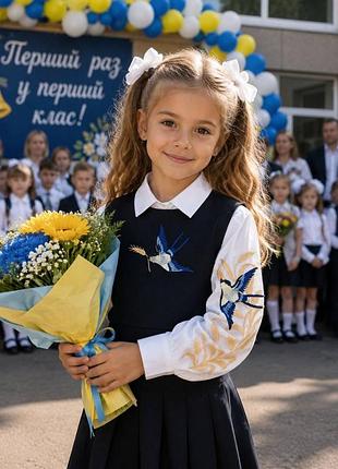 Вишита сорочка і манішка