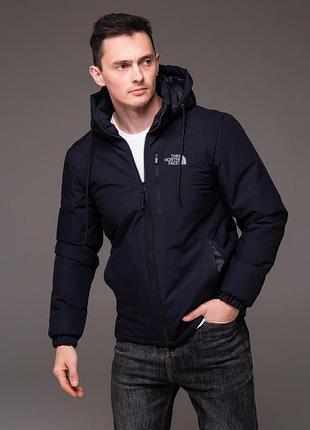 Синяя утепленная куртка tnf демисзеон