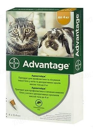 Bayer advantage адвантейдж 40 краплі від бліх для котів і кроликів до 4 кг 4 піпетки