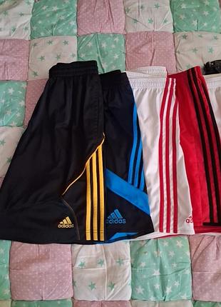Шорти літні adidas