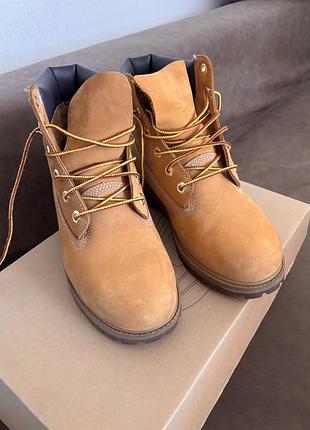 Timberland  класичні ботінки водостійкі преміум класу пшеничного кольору