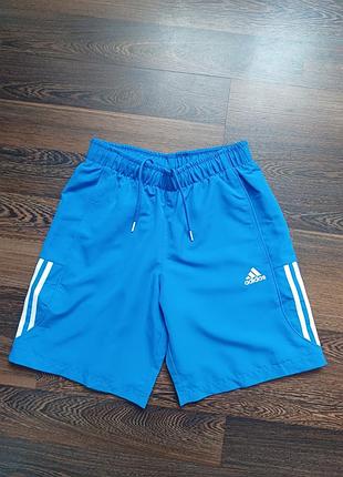 Adidas мужские шорты
