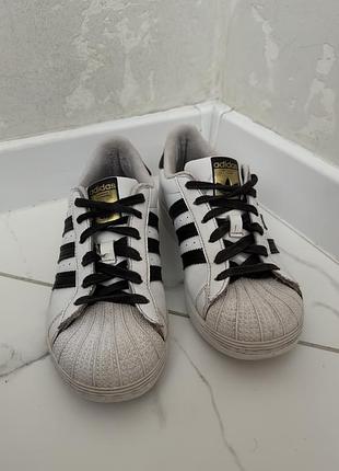Кросівки — adidas superstar у класичному білому кольорі з чорними смугами 35 розмір