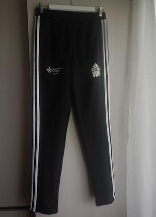 Спортивные штаны adidas