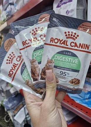 Вологий корм royal canin digestive care для дорослих котів, розроблений для підтримки чутливого травлення