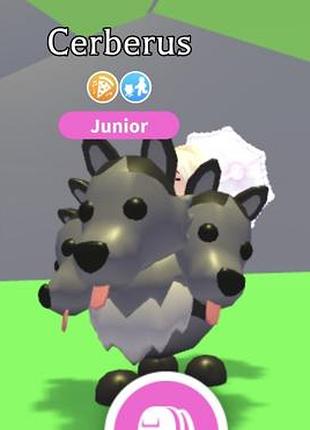 Раритетний пет цербер церберус cerberus адопт мі роблокс roblox adopt me роблокс адопт ми петы редкий пет питомец