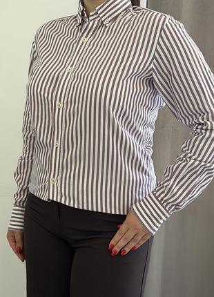 Сорочка жіноча massimo duti бавовняна s,m