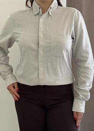 Сорочка жіноча massimo dutti, m